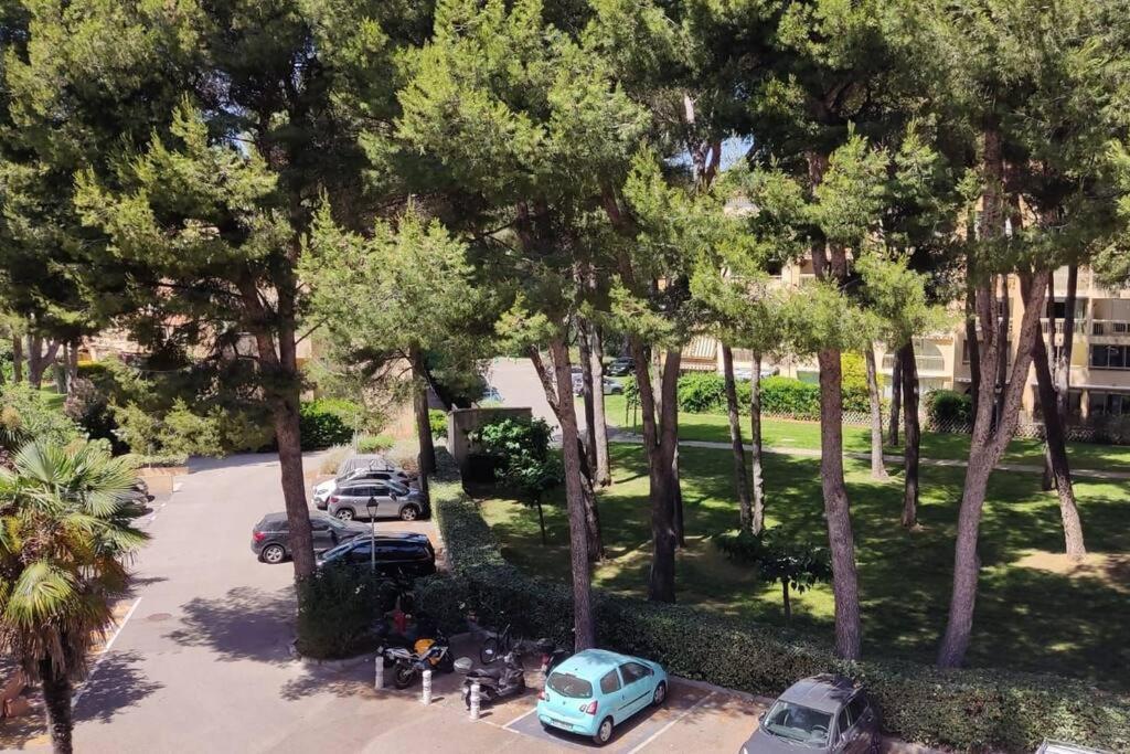 Bel Appartement Avec Piscine Proche Des Plages Six-Fours-les-Plages Bagian luar foto