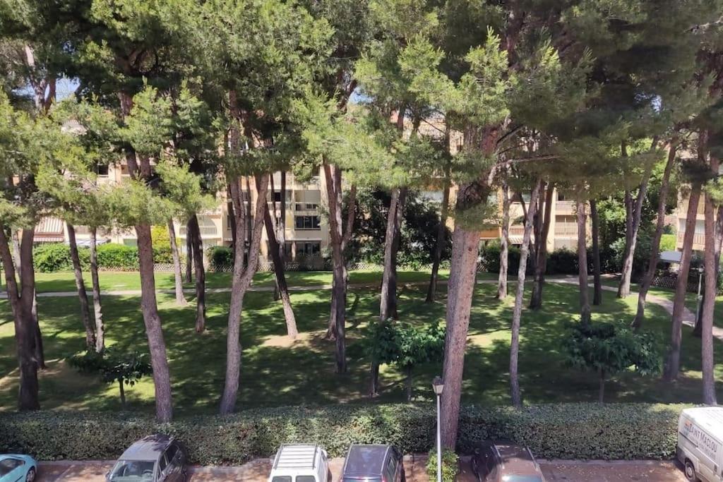 Bel Appartement Avec Piscine Proche Des Plages Six-Fours-les-Plages Bagian luar foto